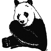  Panda-Apotheke